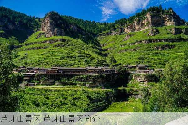 芦芽山景区,芦芽山景区简介