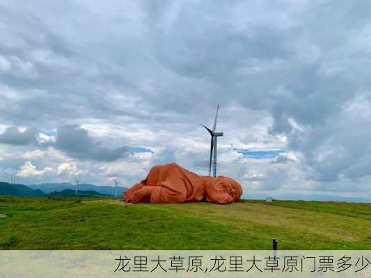 龙里大草原,龙里大草原门票多少