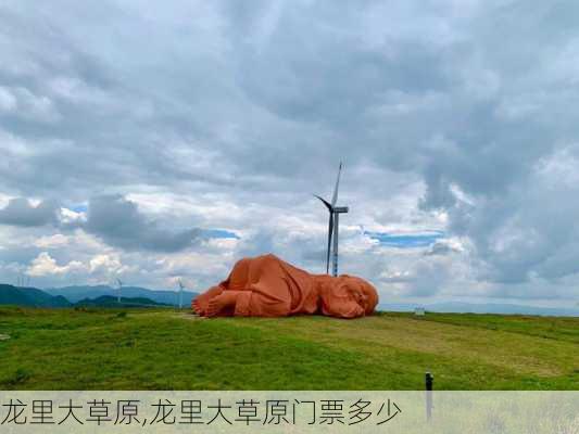 龙里大草原,龙里大草原门票多少-第2张图片-小艾出游网