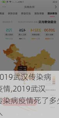 2019武汉传染病疫情,2019武汉传染病疫情死了多少人-第2张图片-小艾出游网