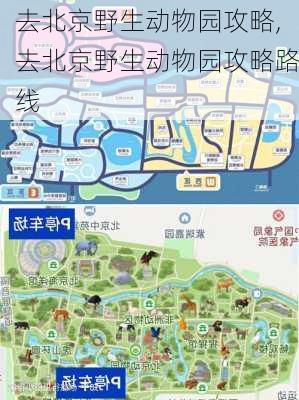 去北京野生动物园攻略,去北京野生动物园攻略路线-第2张图片-小艾出游网