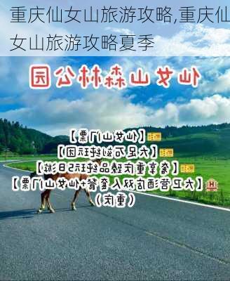 重庆仙女山旅游攻略,重庆仙女山旅游攻略夏季