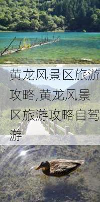 黄龙风景区旅游攻略,黄龙风景区旅游攻略自驾游