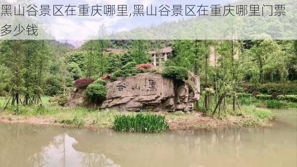 黑山谷景区在重庆哪里,黑山谷景区在重庆哪里门票多少钱