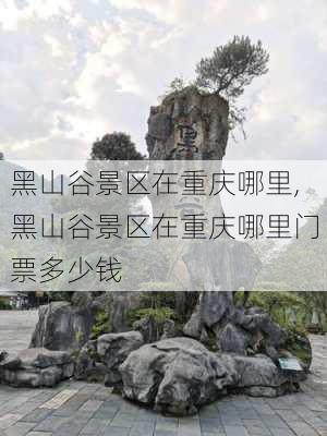 黑山谷景区在重庆哪里,黑山谷景区在重庆哪里门票多少钱-第3张图片-小艾出游网