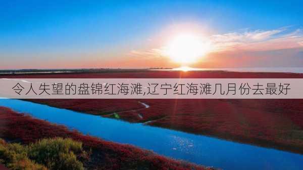 令人失望的盘锦红海滩,辽宁红海滩几月份去最好