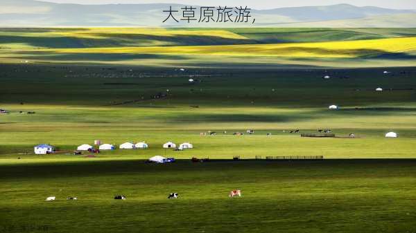 大草原旅游,