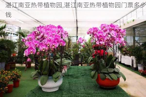 湛江南亚热带植物园,湛江南亚热带植物园门票多少钱-第3张图片-小艾出游网