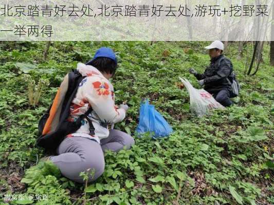 北京踏青好去处,北京踏青好去处,游玩+挖野菜一举两得-第2张图片-小艾出游网