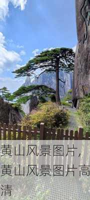 黄山风景图片,黄山风景图片高清