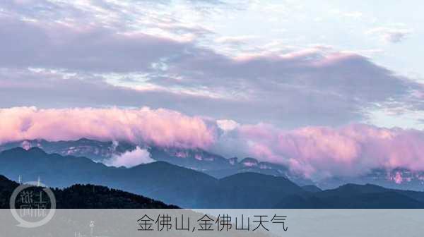 金佛山,金佛山天气-第2张图片-小艾出游网