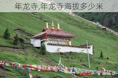 年龙寺,年龙寺海拔多少米