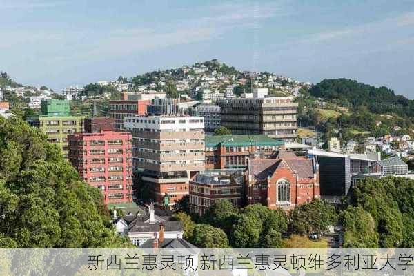 新西兰惠灵顿,新西兰惠灵顿维多利亚大学-第3张图片-小艾出游网