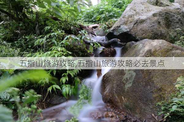 五指山旅游攻略,五指山旅游攻略必去景点-第2张图片-小艾出游网