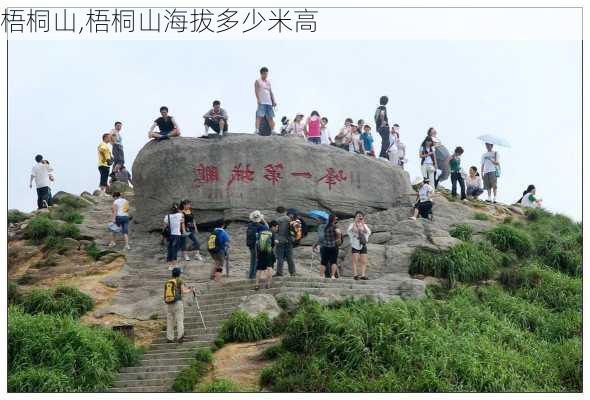 梧桐山,梧桐山海拔多少米高-第3张图片-小艾出游网