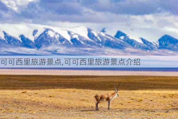 可可西里旅游景点,可可西里旅游景点介绍-第2张图片-小艾出游网