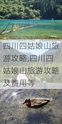 四川四姑娘山旅游攻略,四川四姑娘山旅游攻略及费用等-第3张图片-小艾出游网