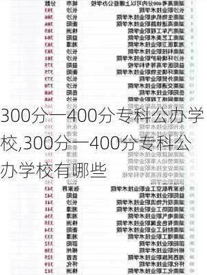 300分一400分专科公办学校,300分一400分专科公办学校有哪些-第2张图片-小艾出游网