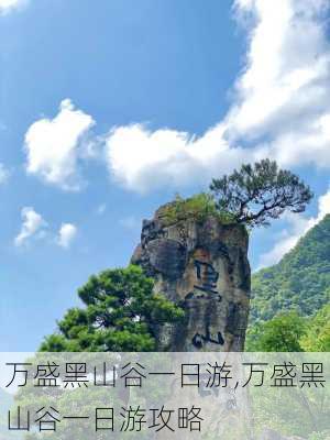 万盛黑山谷一日游,万盛黑山谷一日游攻略-第2张图片-小艾出游网