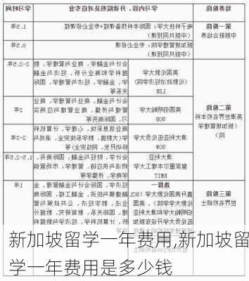 新加坡留学一年费用,新加坡留学一年费用是多少钱