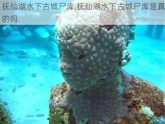 抚仙湖水下古城尸库,抚仙湖水下古城尸库是真的吗