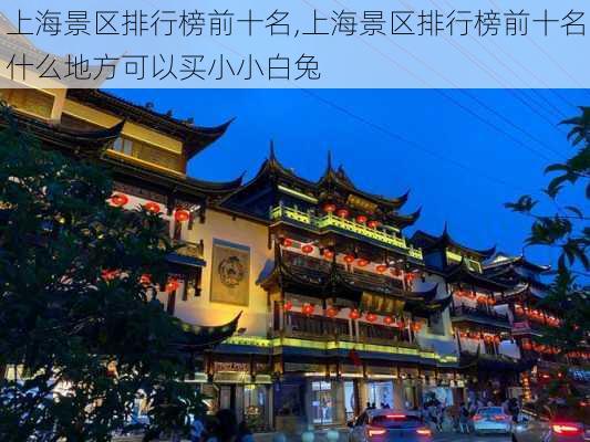 上海景区排行榜前十名,上海景区排行榜前十名什么地方可以买小小白兔-第3张图片-小艾出游网