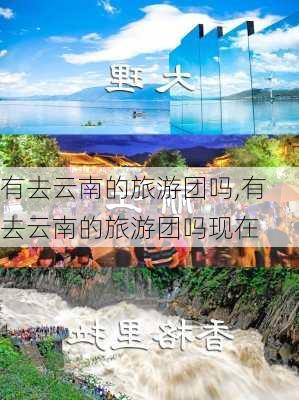 有去云南的旅游团吗,有去云南的旅游团吗现在-第3张图片-小艾出游网