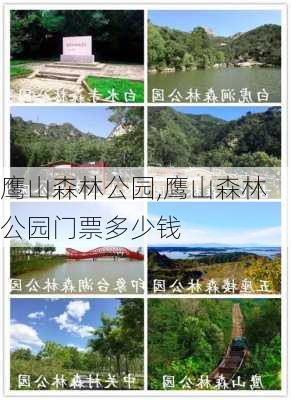 鹰山森林公园,鹰山森林公园门票多少钱-第2张图片-小艾出游网