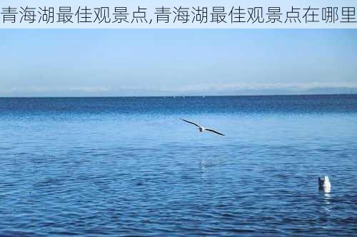 青海湖最佳观景点,青海湖最佳观景点在哪里-第3张图片-小艾出游网