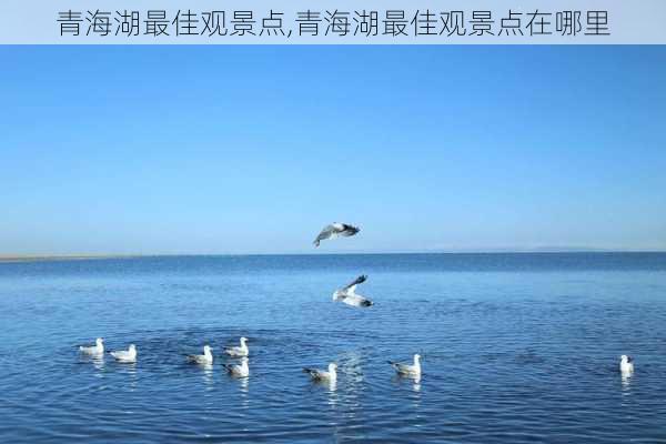 青海湖最佳观景点,青海湖最佳观景点在哪里-第2张图片-小艾出游网