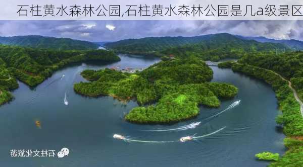 石柱黄水森林公园,石柱黄水森林公园是几a级景区-第3张图片-小艾出游网