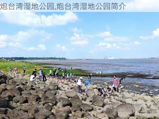 炮台湾湿地公园,炮台湾湿地公园简介-第2张图片-小艾出游网