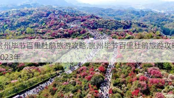 贵州毕节百里杜鹃旅游攻略,贵州毕节百里杜鹃旅游攻略2023年-第3张图片-小艾出游网