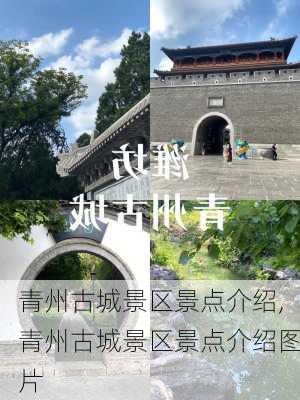 青州古城景区景点介绍,青州古城景区景点介绍图片-第3张图片-小艾出游网