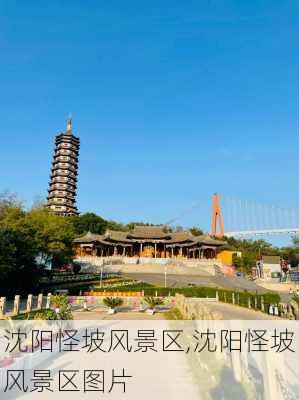 沈阳怪坡风景区,沈阳怪坡风景区图片-第2张图片-小艾出游网