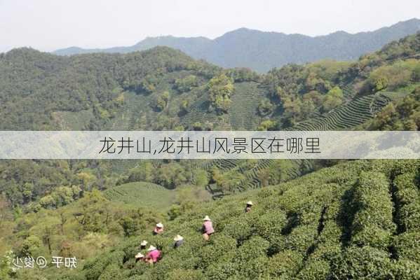 龙井山,龙井山风景区在哪里