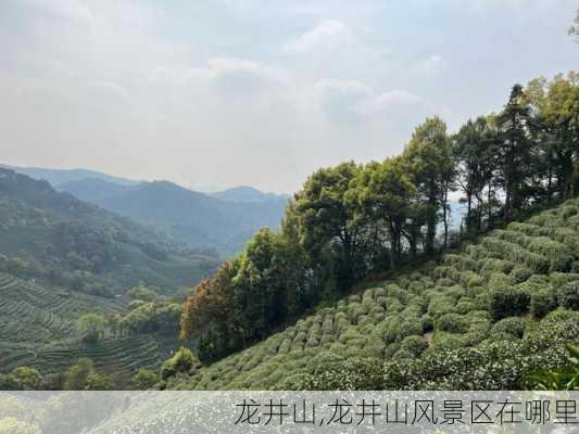 龙井山,龙井山风景区在哪里-第3张图片-小艾出游网