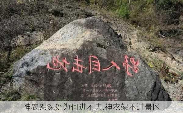 神农架深处为何进不去,神农架不进景区-第3张图片-小艾出游网