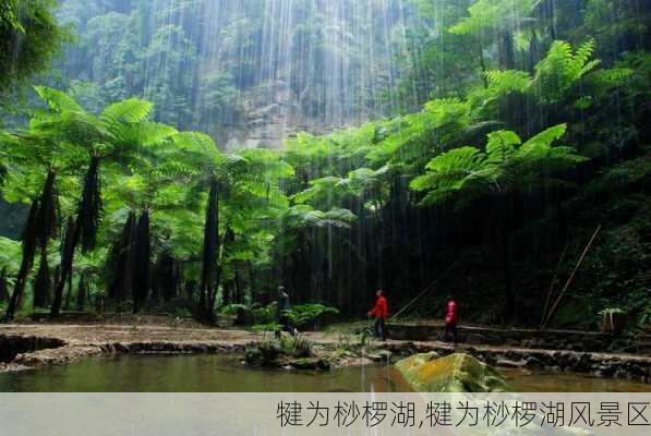 犍为桫椤湖,犍为桫椤湖风景区-第2张图片-小艾出游网