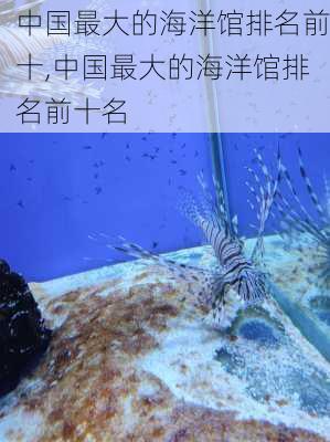 中国最大的海洋馆排名前十,中国最大的海洋馆排名前十名-第2张图片-小艾出游网