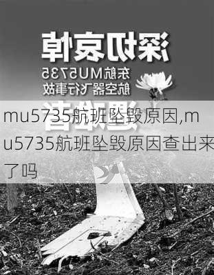 mu5735航班坠毁原因,mu5735航班坠毁原因查出来了吗