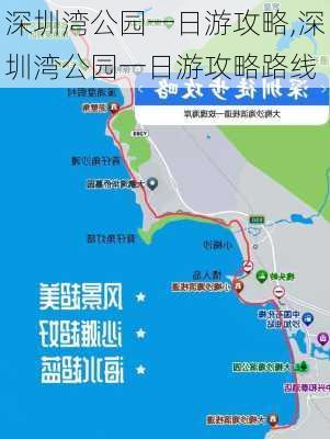 深圳湾公园一日游攻略,深圳湾公园一日游攻略路线