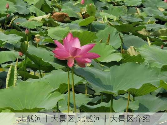 北戴河十大景区,北戴河十大景区介绍-第3张图片-小艾出游网