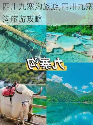 四川九寨沟旅游,四川九寨沟旅游攻略-第3张图片-小艾出游网