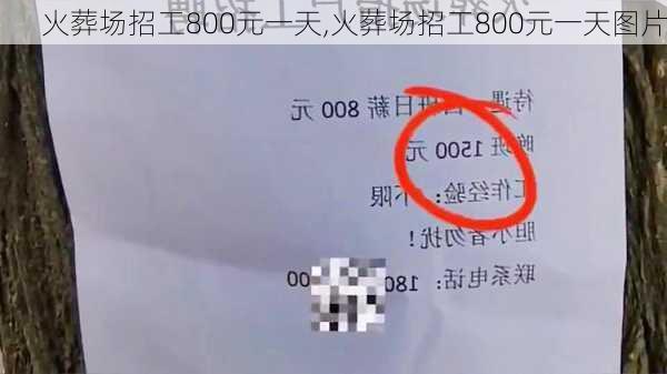 火葬场招工800元一天,火葬场招工800元一天图片