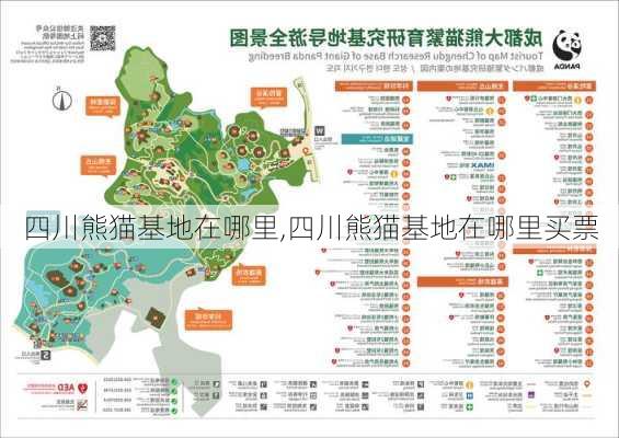 四川熊猫基地在哪里,四川熊猫基地在哪里买票