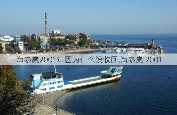 海参崴2001年因为什么没收回,海参崴 2001-第1张图片-小艾出游网