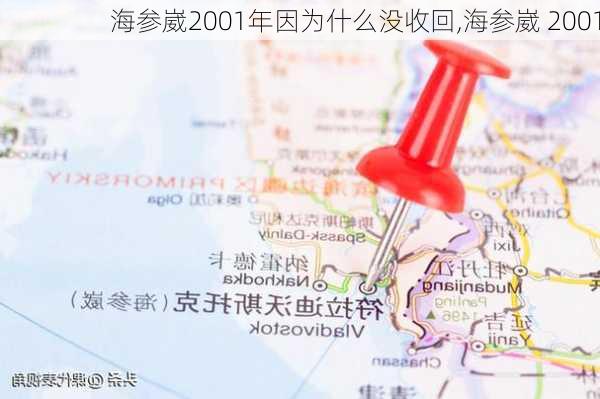 海参崴2001年因为什么没收回,海参崴 2001-第3张图片-小艾出游网