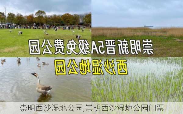 崇明西沙湿地公园,崇明西沙湿地公园门票-第2张图片-小艾出游网