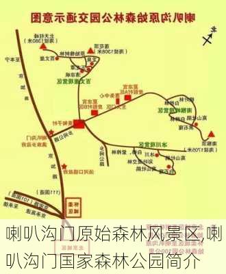 喇叭沟门原始森林风景区,喇叭沟门国家森林公园简介